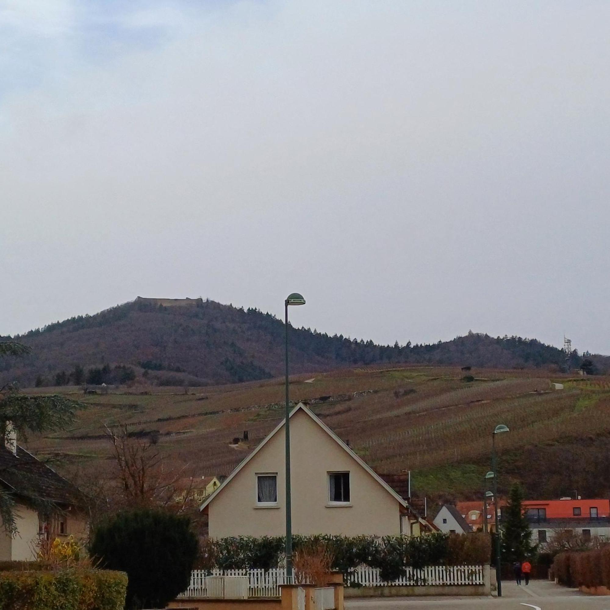 Отель Les Vignobles D'Alsace Винтсенайм Экстерьер фото